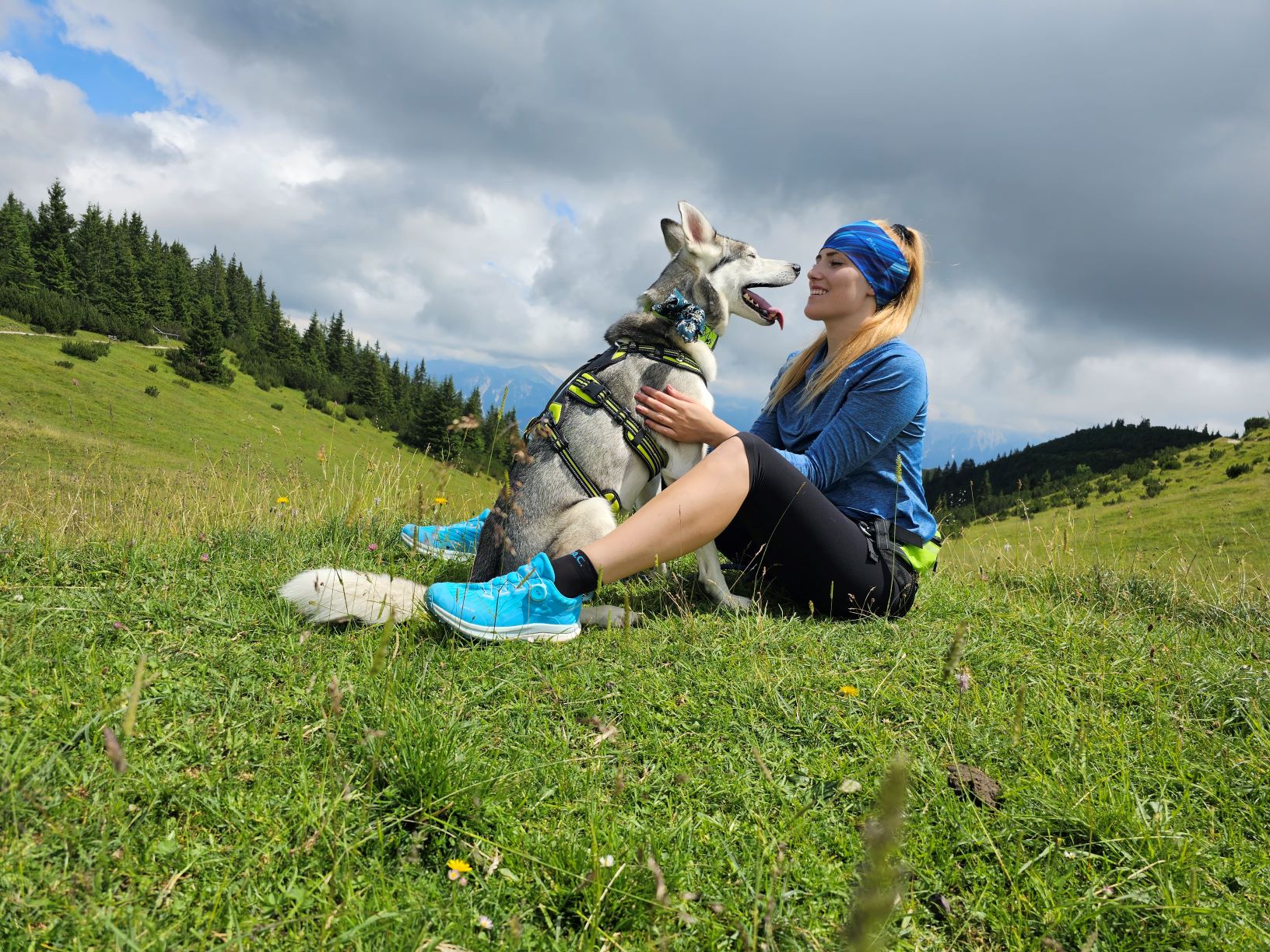 Hund mit Anti Insect Halstuch