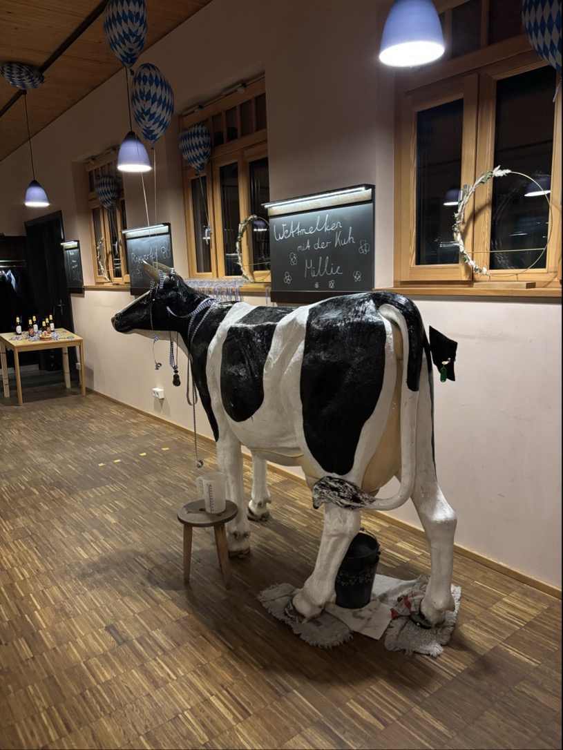 Bayer Abend 2026 Kuh